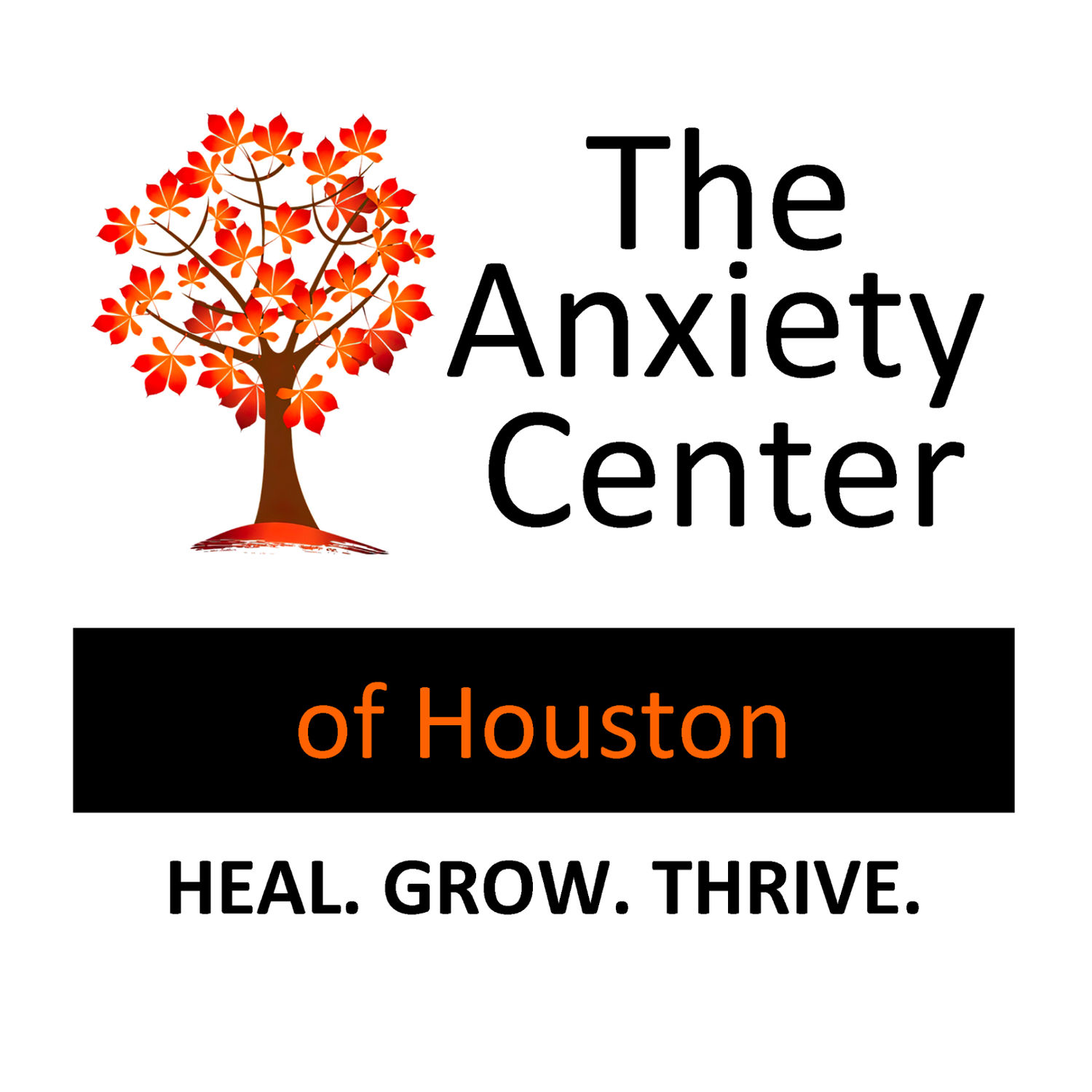 The Resilience Center of Houston LLC