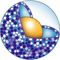 BlueWillow Biologics, Inc.