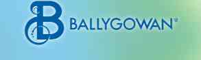 Ballygowan Ltd