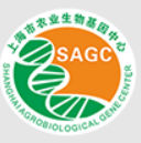 Shanghai Agrobiological Gene Center