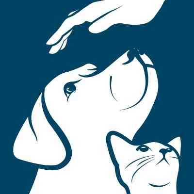 Rye Harrison Veterinary Hospital