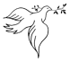 El Paraiso Management Services LLC