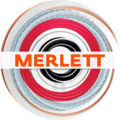 Merlett Group