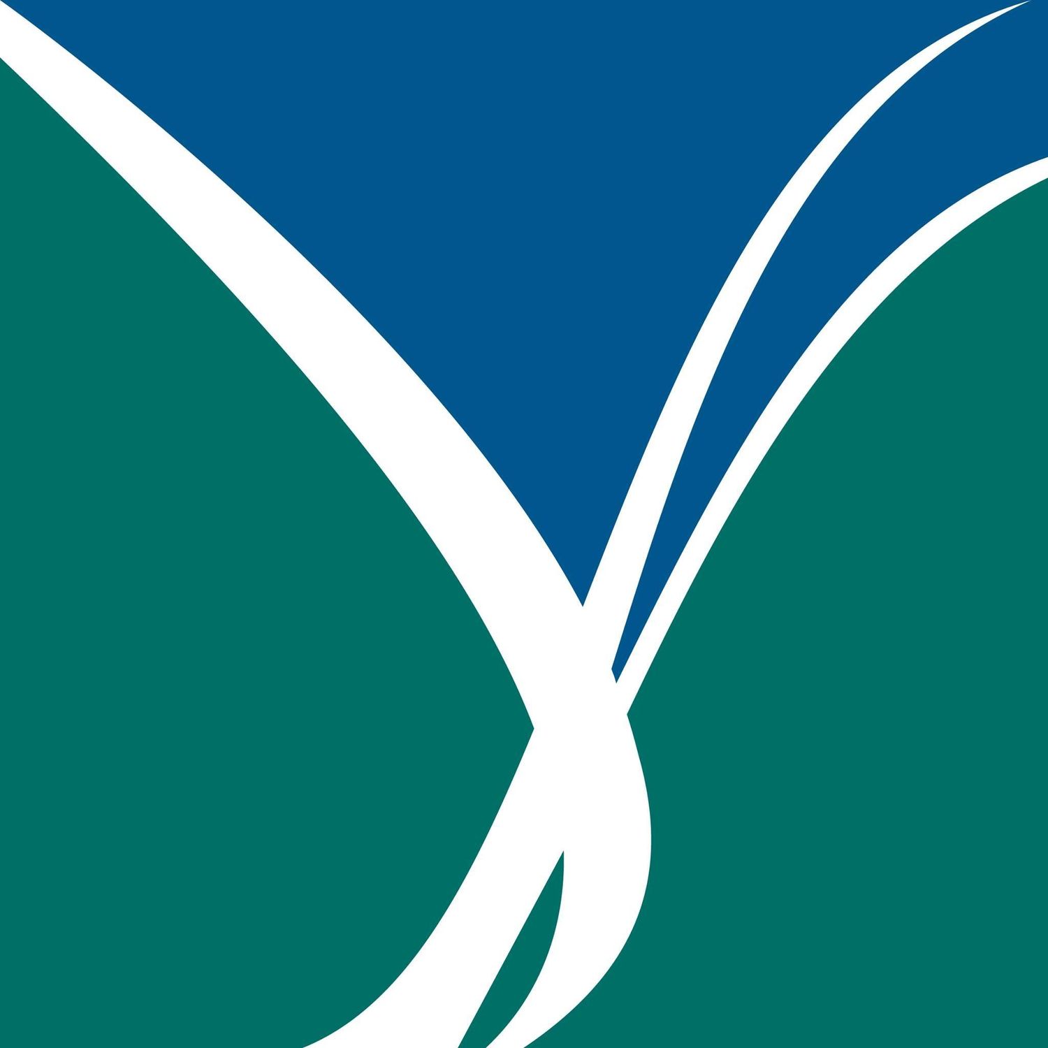 The Laurels of Bon Air LLC